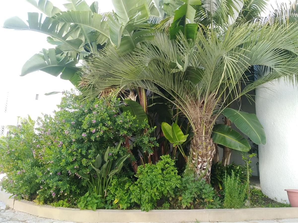 Garden View Vilamoura Apartment Exterior foto